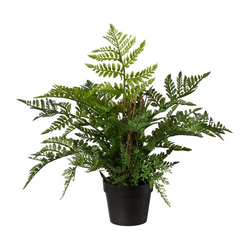 Umetne praproti, 35 cm