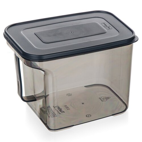 Banquet Cutie de depozitare cu mâner ZOYA 2,75 l,fumurie