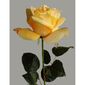 Umělá květina Růže žlutá, 60 cm