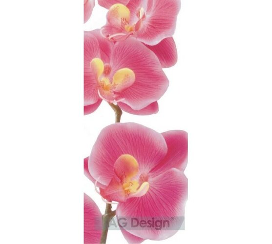Fototapeta Orchidej růžová 90 x 202 cm