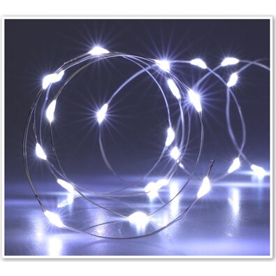 Sârmă luminoasă cu temporizator Silverlights 100 LED, alb rece, 495 cm