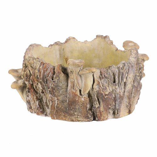 Beton burkolat - tusk with mushrooms, 26 x 24 x 14cm