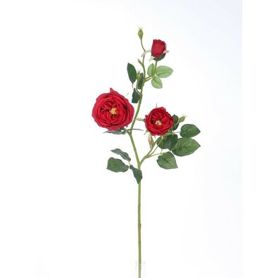 Sztuczna róża angielska, czerwony, 69 cm
