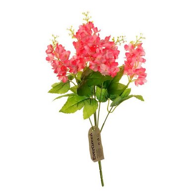 Hiacynt różowy, bogaty bukiet 5 kwiatów, wys. 33cm