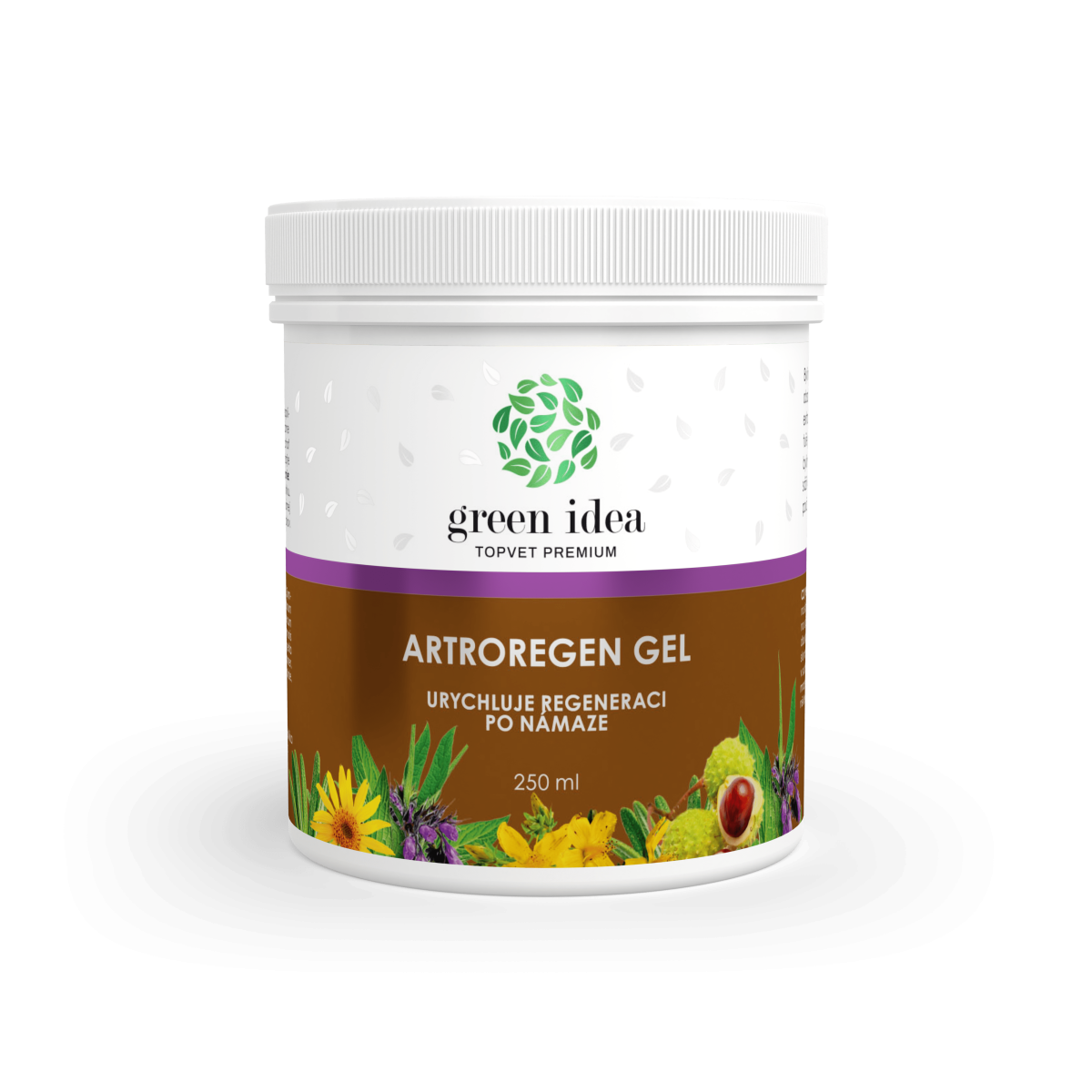 Green Idea Artroregen masážní gel, 250 ml