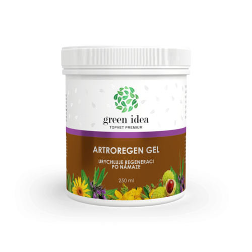 Green Idea Artroregen masážní gel, 250 ml