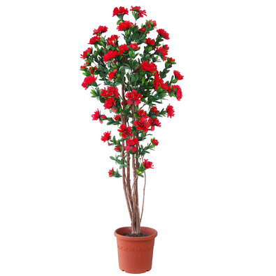 Umelá kvitnúca Azalka v kvetináči červená, 120 cm