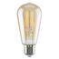 Rabalux Dekoracyjna żarówka LED filamentowa,przezroczysta, E27, ST65, 5 W, 600 lm