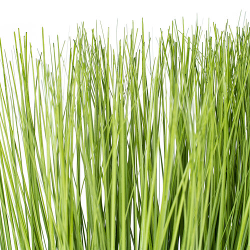 Skrzynia ze sztuczną trawą, 29 x 23 x 9 cm