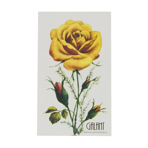 Nadelset mit Einfädler auf Karte Silber, Größenmix