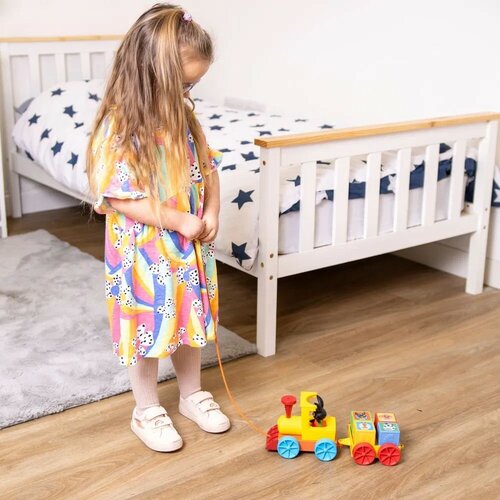 Bing a priatelia Vláčik