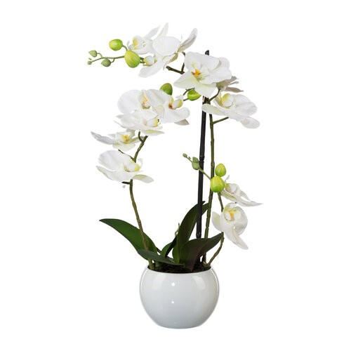 Umetna orhideja v loncu, 42 cm