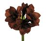 Umelá kvetina Amarilis tmavo červená