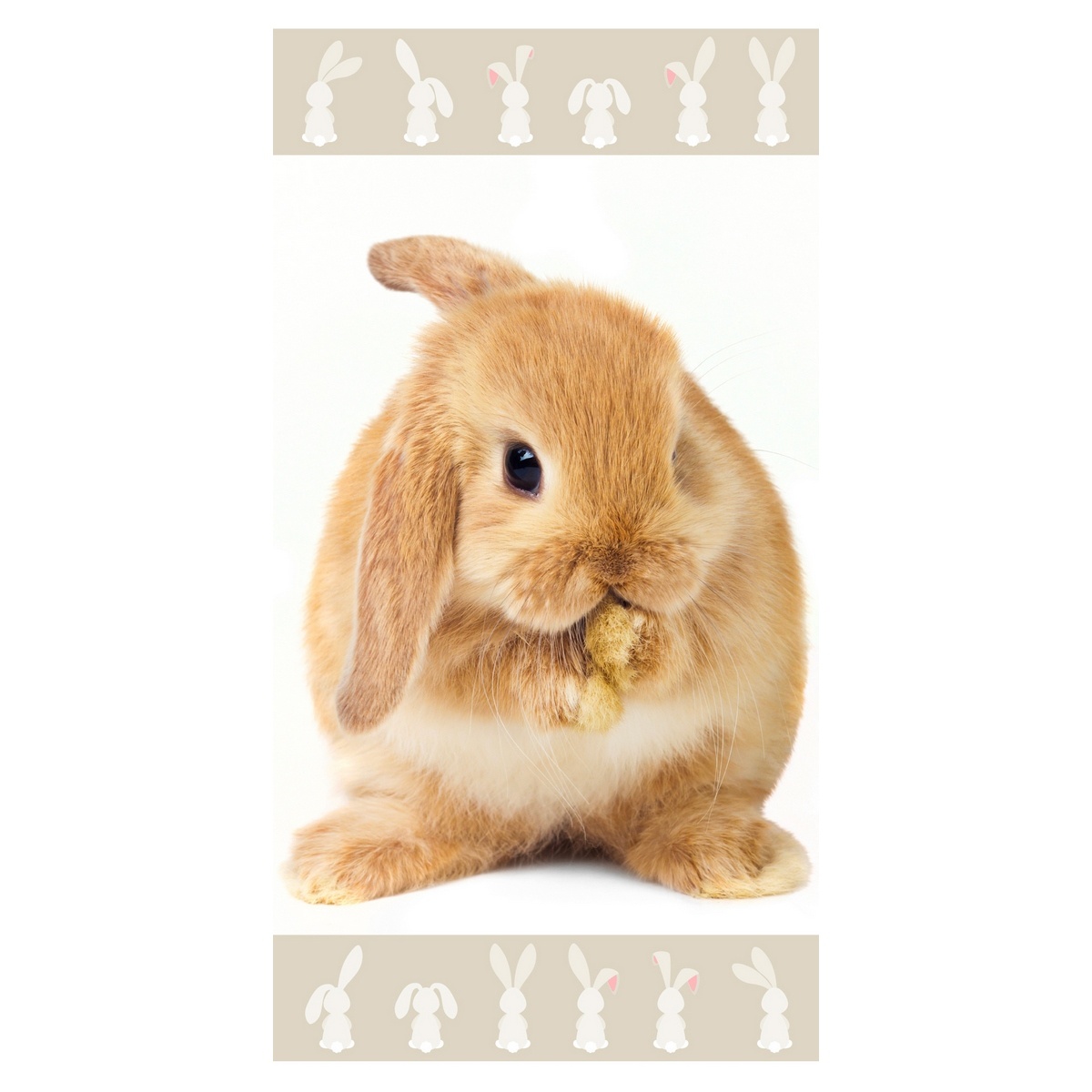 Prosop Bunny brown, 70 x 140 cm 140