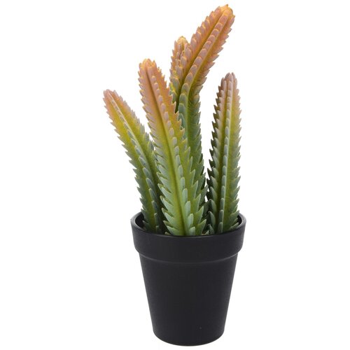Umělý kaktus Techado, 10 cm
