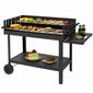 Tepro 00299-1 Grill Atlanta, 136 x 63 x 91 cm, 136x 63 x 91 cm