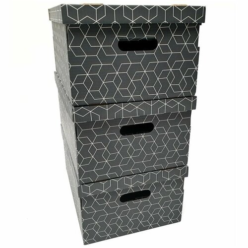 Compactor 3-teiliges Set von Kartons, 32 x 45,5 x 22 cm