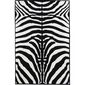 Arwen Zebra darabszőnyeg, 100 x 140 cm