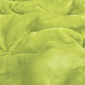 Deka Aneta zelená, 150 x 200 cm