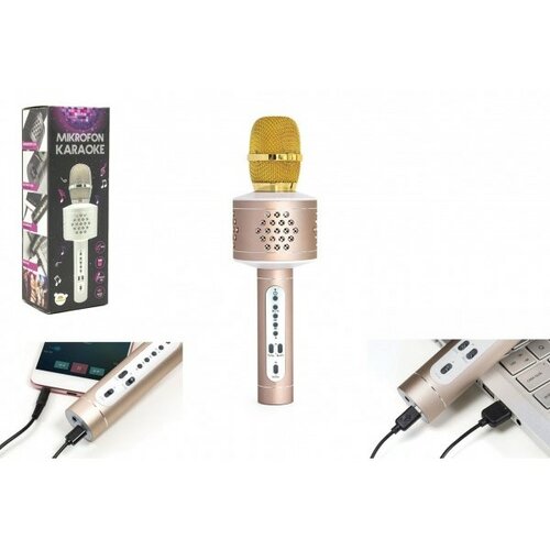 Microfon de karaoke Teddies cu Bluetooth, auriu, alimentat cu baterii, cu cablu USB