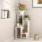 Biblioteczka Sule White