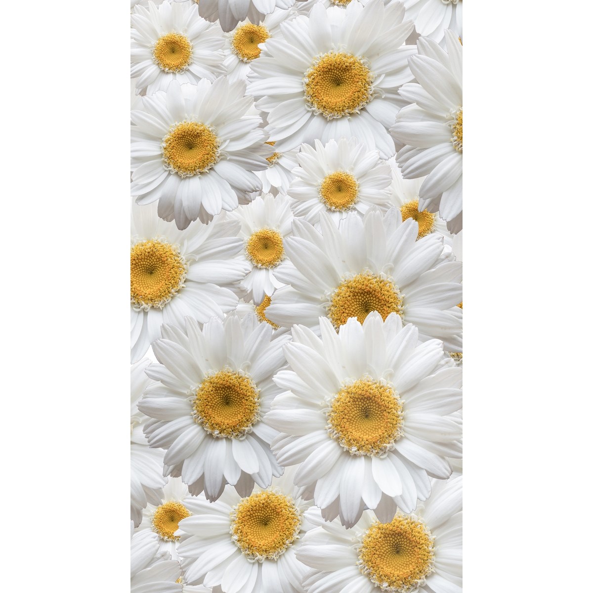 AG ART Závěs Daisy, 140 x 245 cm
