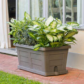 Bama Großvolumiger Blumenkasten Legno Cappuccino, 80 x 40 x 35 cm