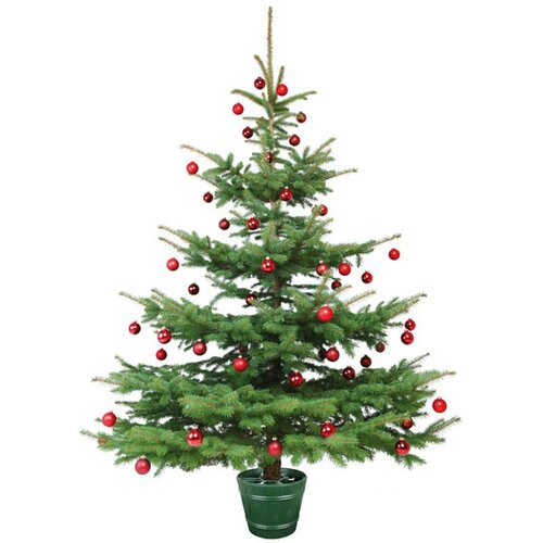 Stojan za božično drevesce Planet 2 zelen