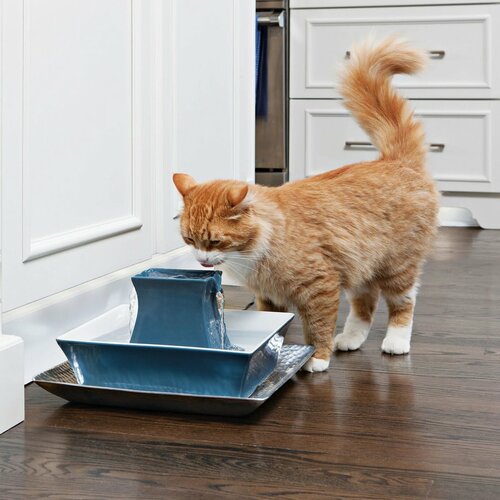 PetSafe® Pagoda Ceramiczna fontanna 2 l niebieska
