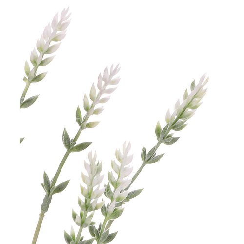 Umetna cvetica Lavanda bela, 17 x 17 x 62 cm