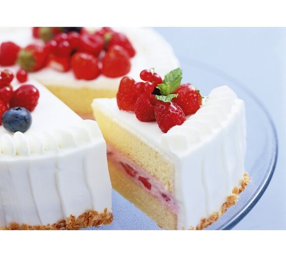 Concept SR 3355 mikser ręczny