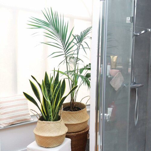 Compactor Belly kötött tengeri fű tárolókosár, 35 x 32 cm, natúr