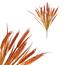 Umetni klasje žitni klas oranžni, 40 cm