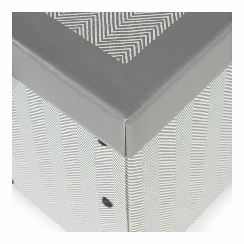 Compactor Zložljiva shranjevalna škatla Boston, 50x 40 x 25 cm, siva