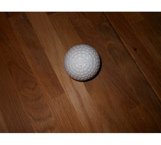 Žvýkací míček s otvorem pro pamlsky, golf, bílá