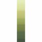 Zasłona z przelotkami Darking zielony, 140 x 245 cm