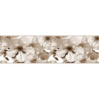 Samolepiaca bordúra Jabloňový kvet, 500 x 14 cm