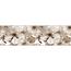 Samolepilna bordura Jabolčni cvet, 500 x 14 cm