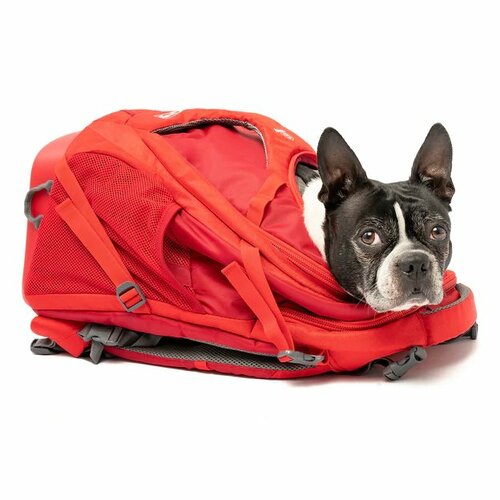 Kurgo G-TRAIN K9 Sportrucksack für Hunde, Rotrot,