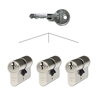 Richter EP.30/35.NI.SET3 komplet gradbenih cilindričnih vložkov 30+35 mm, 9 kosov ključev