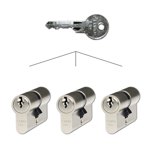 Richter EP.30/35.NI.SET3 Bauzylindereinsatz-Set 30+35 mm, 9 Schlüssel