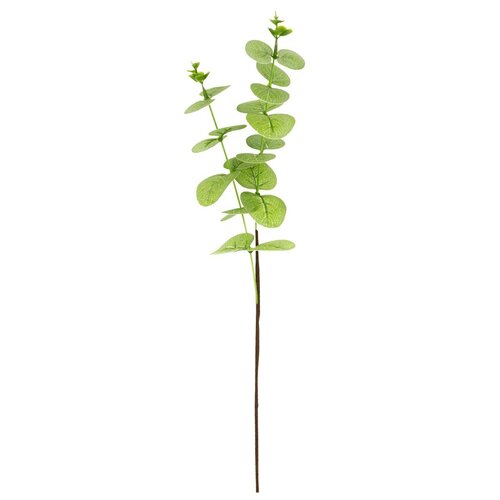 Umelá rastlina Eukalyptus zelená, 51 cm