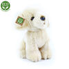 Rappa Pies pluszowy Labrador, 18 cm