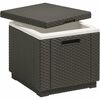 Keter Kühlbox Ice Cube 40 l, Graphit
