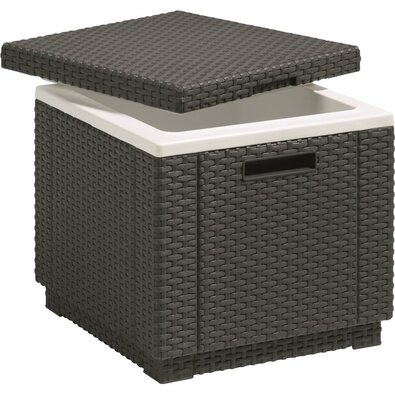 Keter cutie frigorifică Ice Cube 40 l, grafit