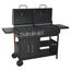 Grătar combinat 2in1 Cattara 13042 Couple, 159 x 102 x 49 cm
