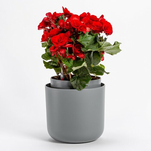 Ghiveci cu auto-irigare Plastia Tolita, gri, diam. 16 cm