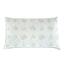 B.E.S. Petrovice Visco vzglavnik luxury Aloe Vera,45 x 75 cm