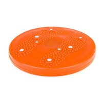 Rotační disk s magnetem, pr. 25,5 cm Rotační disk s magnetem, pr. 25,5 cm