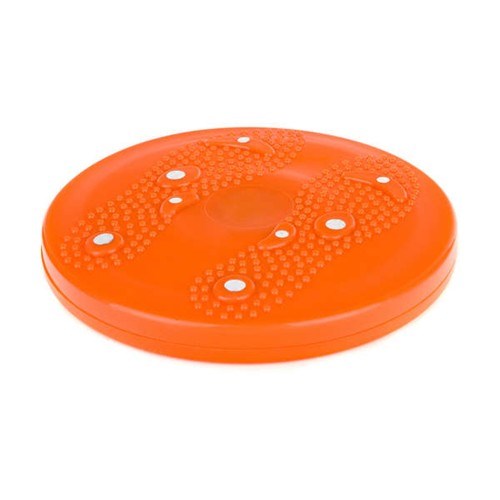 Sportwell Rotační disk s magnetem, pr. 25,5 cm